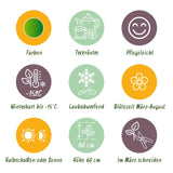 Groen boutiQ - Borderpakket - Thee kruiden - 8 Vaste planten - 1 m2 - Diversen kleuren - Weinig Onderhoud - Pot 11cm