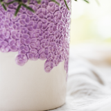 Orchidée Phalaenopsis violette Mineral Vienna avec cache-pot Bloom lilas