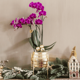 Orchidée Phalaenopsis violette Chamonix avec cache-pot Allure doré