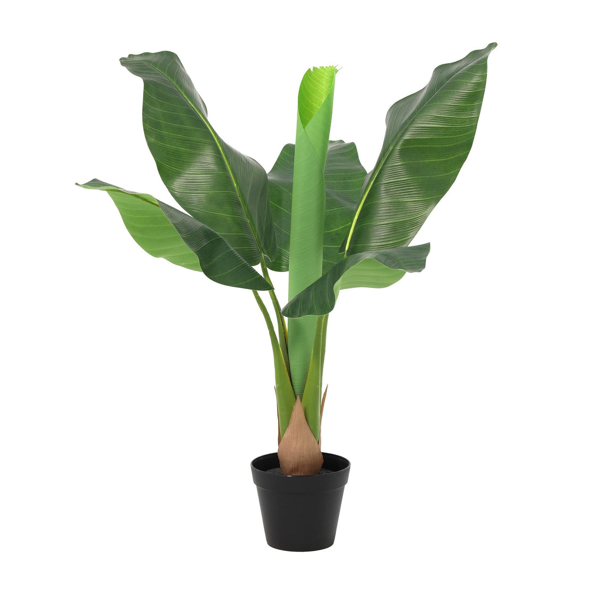 Bananier Musa plante artificielle