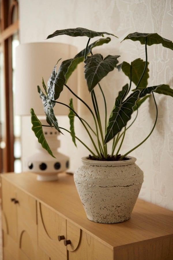 [NL: Alocasia artificiel h80cm]