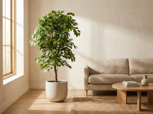 Ficus Haut de Gamme plante artificielle