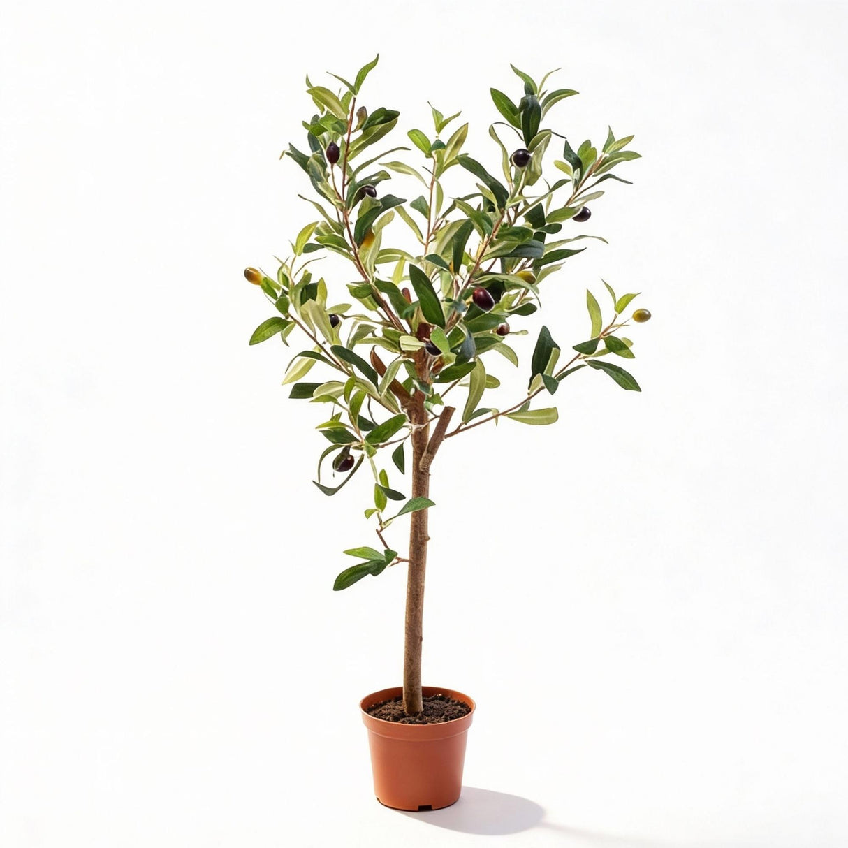 Künstlicher Olivenbaum H65cm Topf inklusive