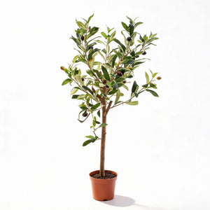 Künstlicher Olivenbaum H65cm Topf inklusive