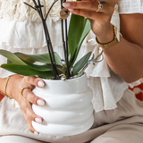 Kolibri Orchids | Geschenkset Groß Weiß | Gibraltar Orchidee Ø9cm + Grünpflanzen – inkl. Übertöpfe, Ständer & Flechttablett – frisch vom Züchter