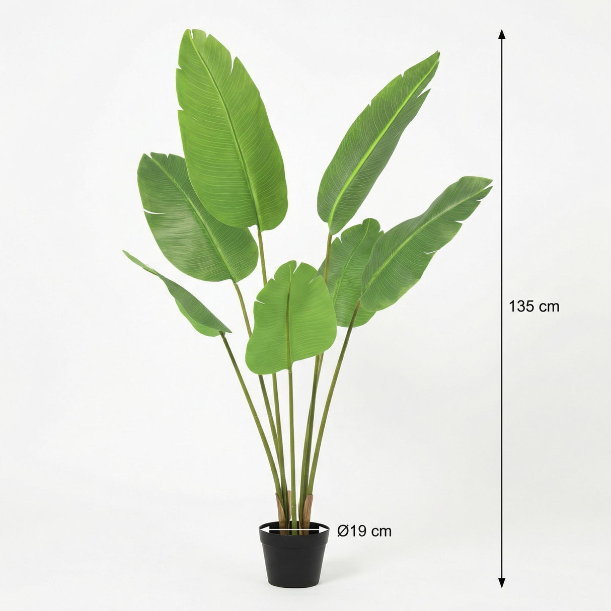Strelitzia Nicolai plante artificielle