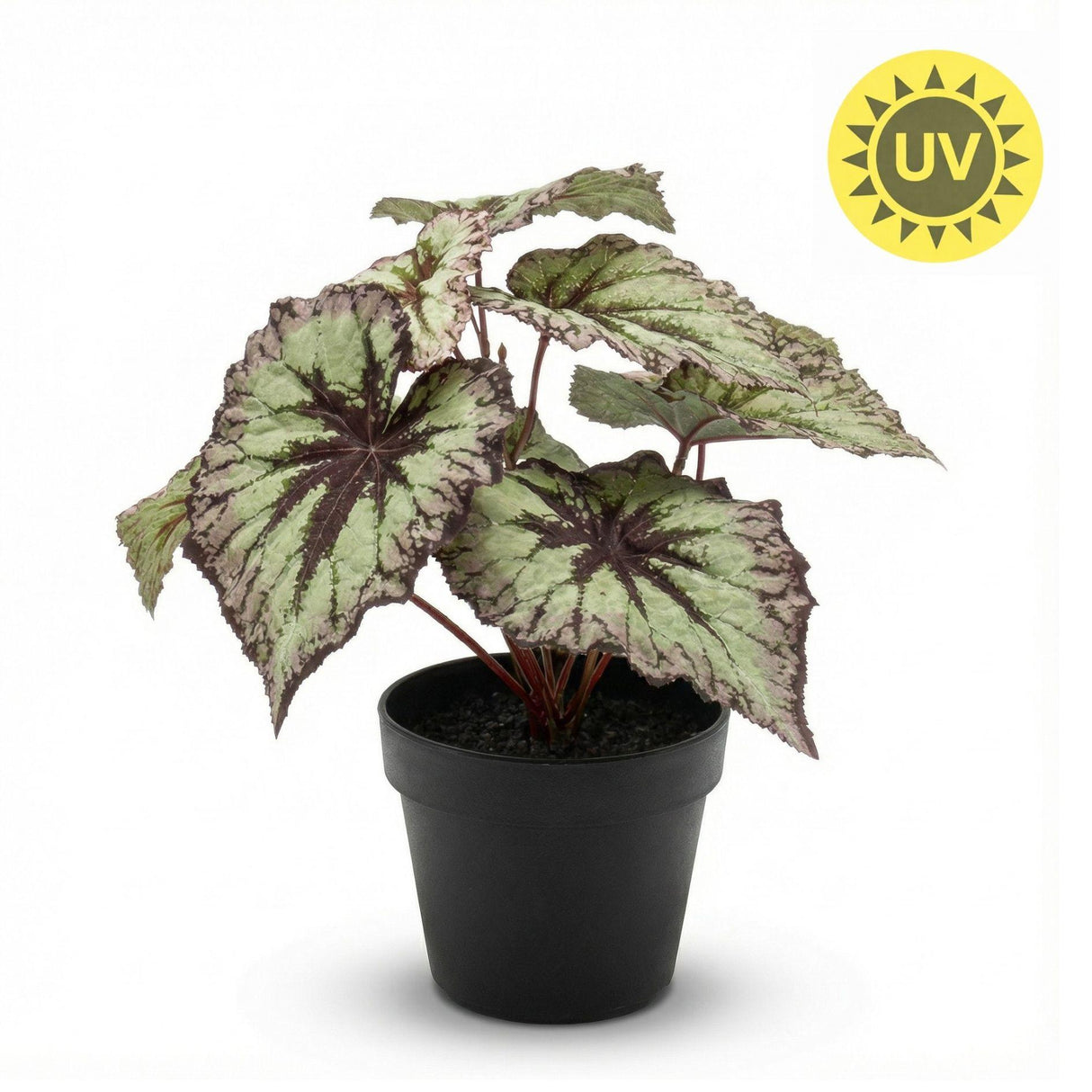 Begonia plante artificielle