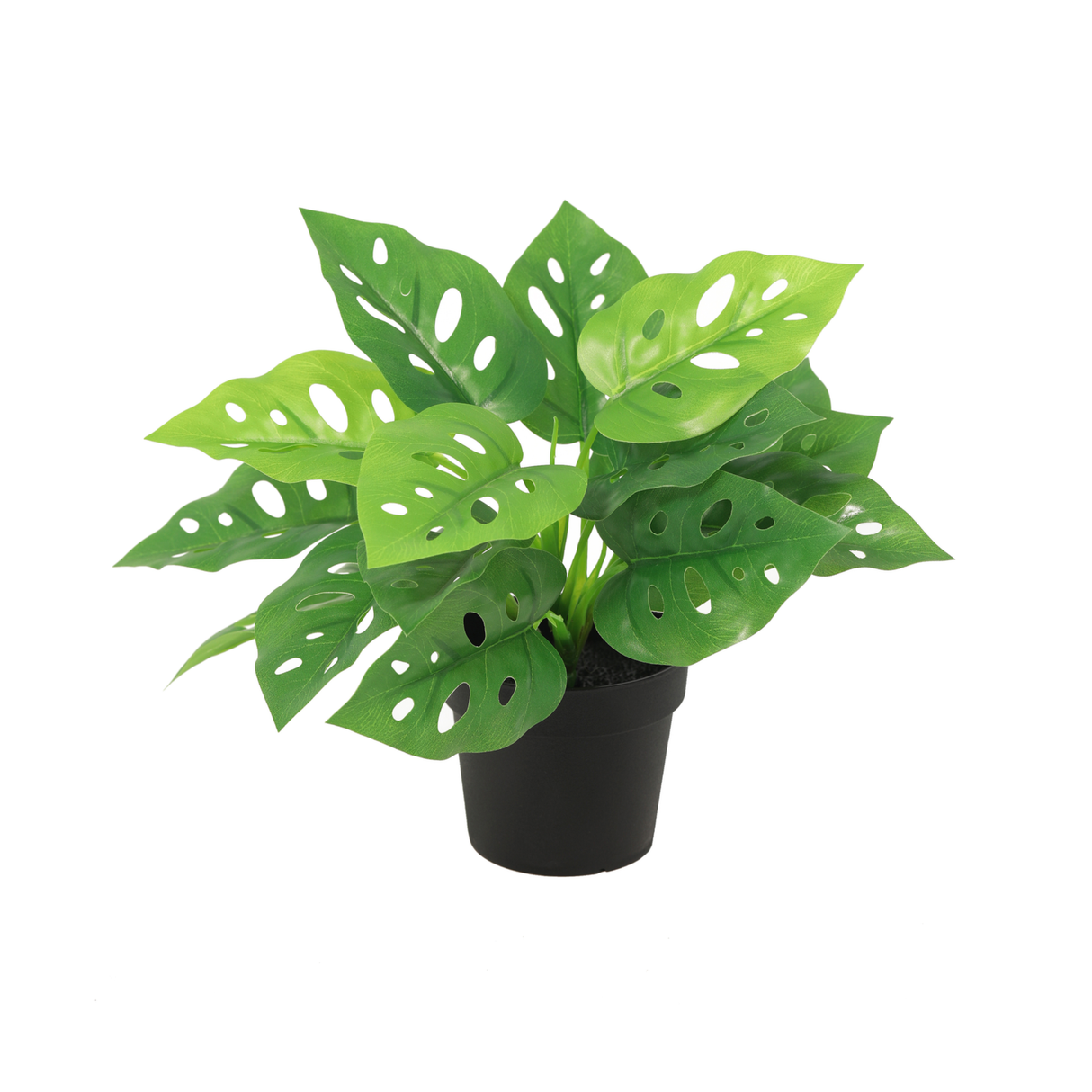 KÜNSTLICHE Monstera Monkey Leaf – 22 cm