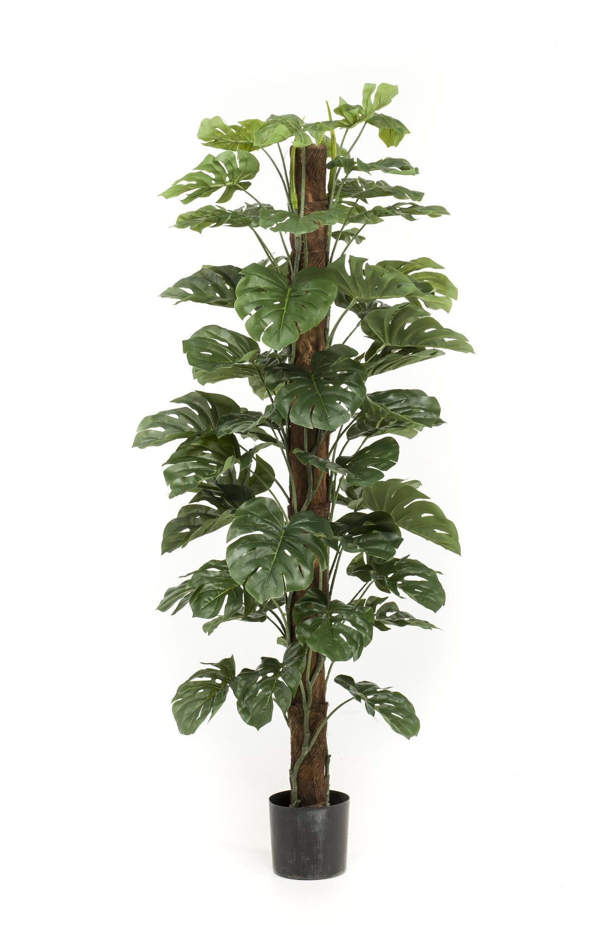 Künstliche Monstera deliciosa H180cm