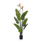 [NL: Oiseau du paradis artificiel en pot h120cm]