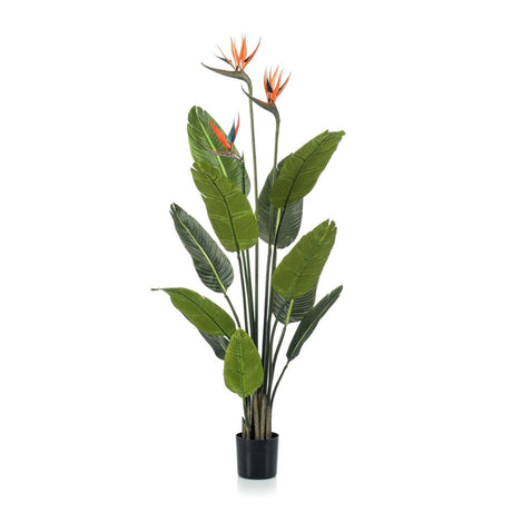 [NL: Oiseau du paradis artificiel en pot h120cm]