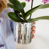 Kolibri Orchids | Violette Vienna-Orchidee + Disco Ziertopf – Topfgröße Ø9cm | blühende Zimmerpflanze – frisch vom Züchter