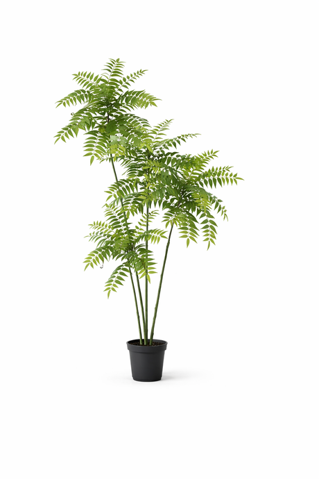 Mahonia plante artificielle