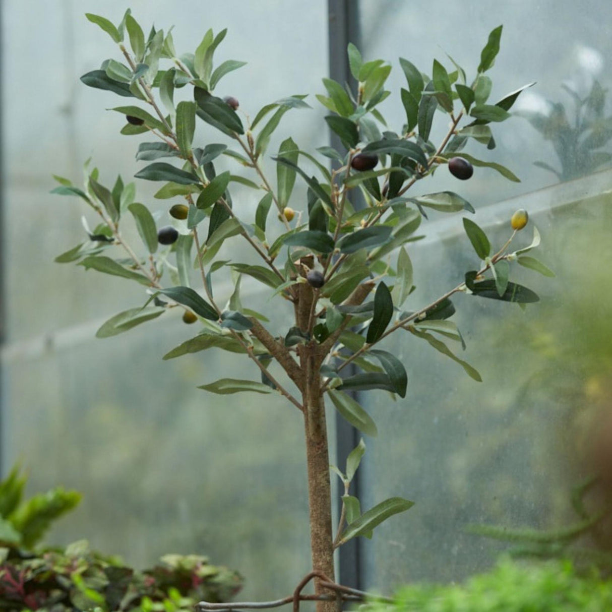 Künstlicher Olivenbaum H65cm Topf inklusive