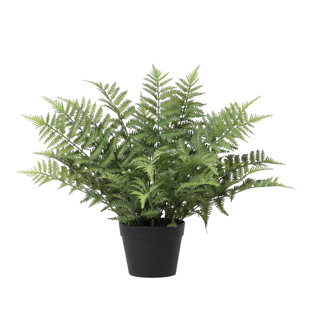 KÜNSTLICHER Nephrolepis exaltata – 59 cm