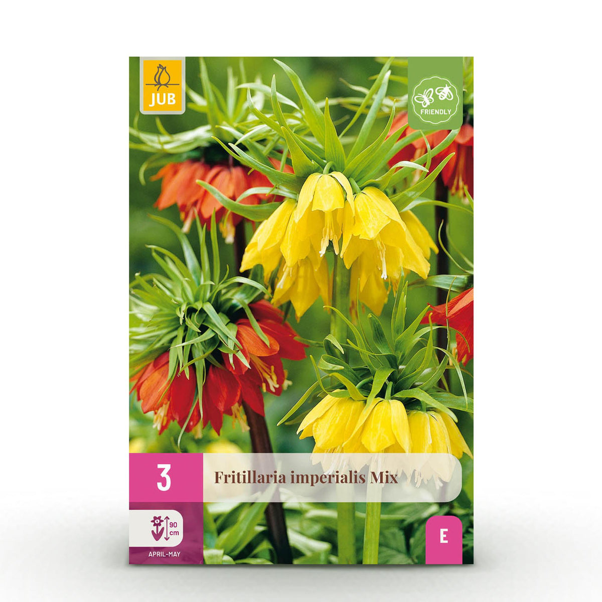 Green boutiQ - Zwiebelblumen - Fritillaria Imperialis Mix - Farbe Gelb und Orange - 3 Stück - Zwiebelgröße 18/20 - XXL Pack