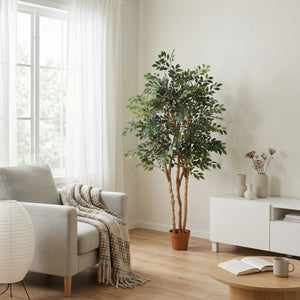 Ficus Exotica plante artificielle