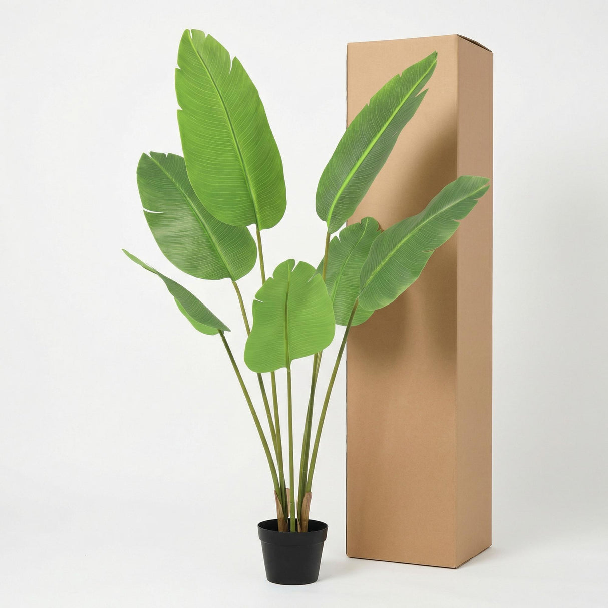Strelitzia Nicolai plante artificielle
