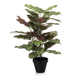 [NL: Calathea makoyana artificiel en pot h65cm]