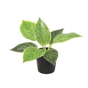 Philodendron Birkin plante artificielle