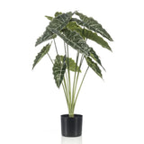 [NL: Alocasia artificiel h80cm]
