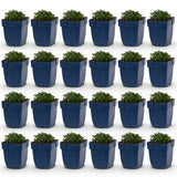 Campanule des murs - H 15-25 cm, pot Ø11 cm