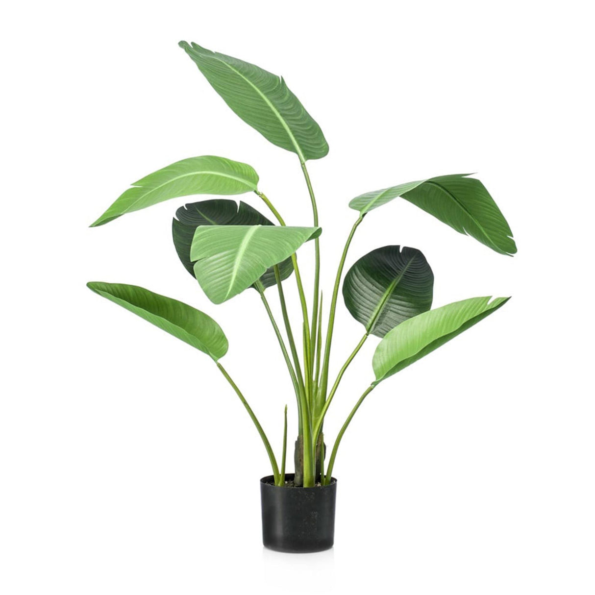 [NL: Strelitzia artificiel en pot h120cm]