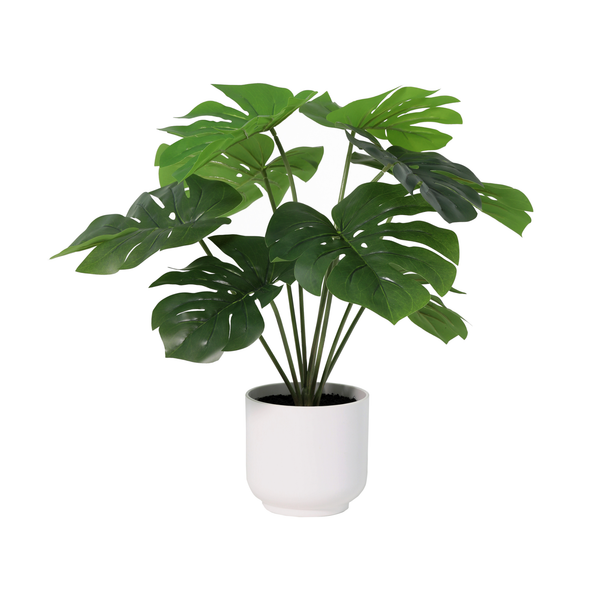 Monstera Deliciosa pot inclus plante artificielle
