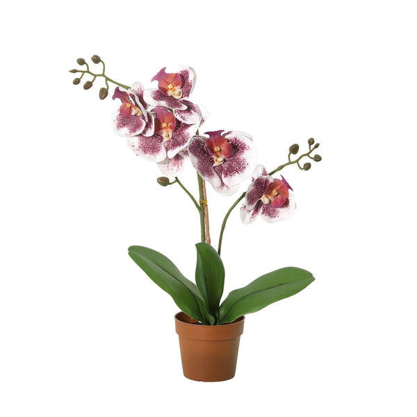 Orchidée Phalaenopsis violet blanc plante artificielle