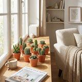 Mini-Kakteen-Mix – 3 Stück – Ø 8,1 cm – Höhe: 5-10 cm – Terrakotta-Töpfe