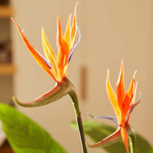 Oiseau du Paradis en Pot plante artificielle
