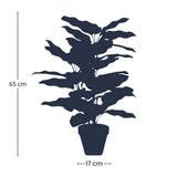 [NL: Calathea makoyana artificiel en pot h65cm]