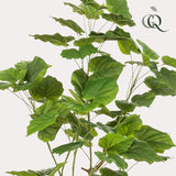 [NL: Ficus arbuste artificiel h125cm]