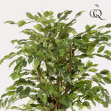 [NL: Ficus Liana artificiel h170cm]