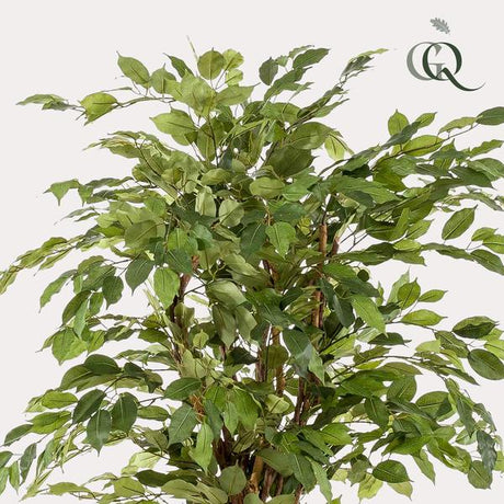 Ficus Liana plante artificielle