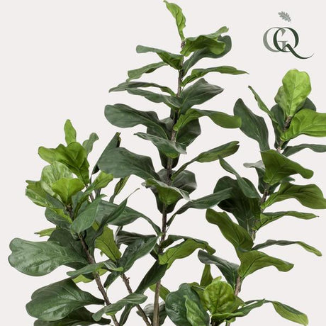 Ficus Lyrata plante artificielle