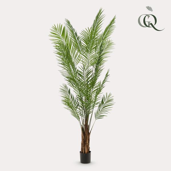 Kunstplanten - Areca Lutescens - Goldpalme - 240cm