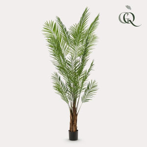 Kunstplanten - Areca Lutescens - Goldpalme - 240cm