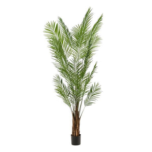 Kunstplanten - Areca Lutescens - Goldpalme - 240cm