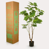 [NL: Ficus arbuste artificiel h125cm]