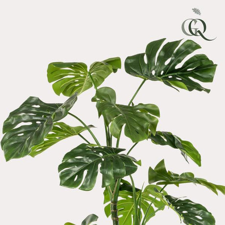 [NL: Monstera artificiel h180cm]
