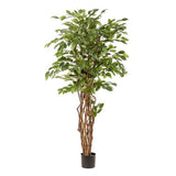 [NL: Ficus Liana artificiel h170cm]