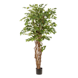 [NL: Ficus Liana artificiel h170cm]