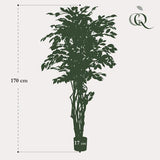 [NL: Ficus Liana artificiel h170cm]