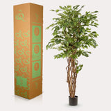 [NL: Ficus Liana artificiel h170cm]