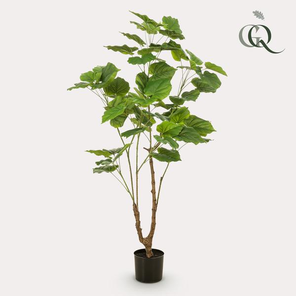 [NL: Ficus arbuste artificiel h125cm]