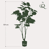 [NL: Ficus arbuste artificiel h125cm]