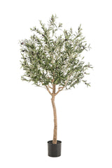 Kunst Olijfboom - Olea europaea - Olijfboom - 180 cm