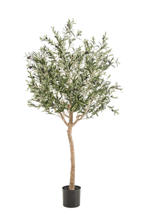 Olivier dinterieur plante artificielle
