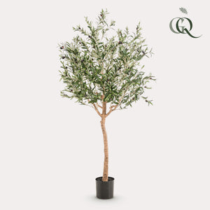 Olivier dinterieur plante artificielle